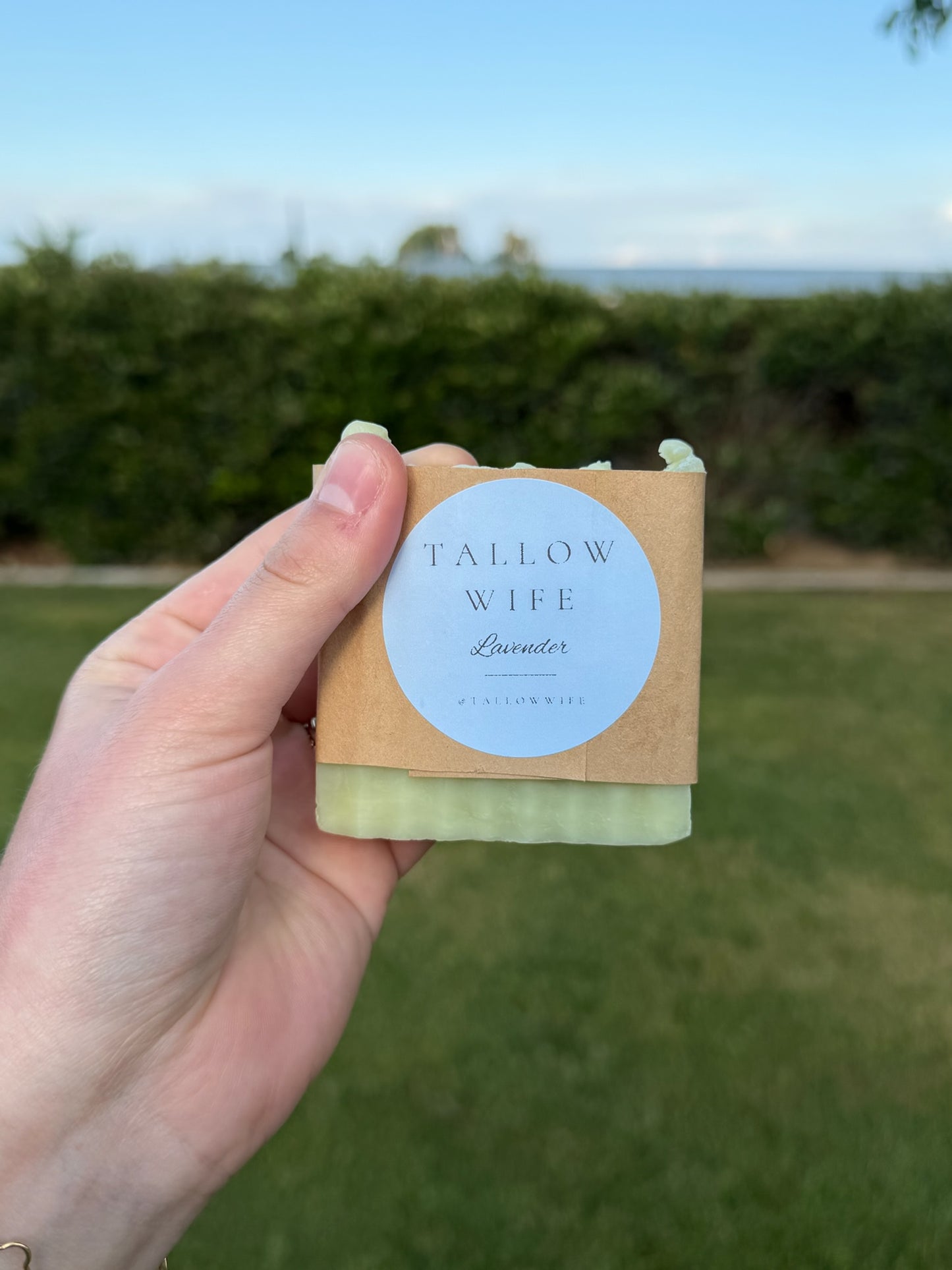 Tallow Shave Soap Bar (Lavender)