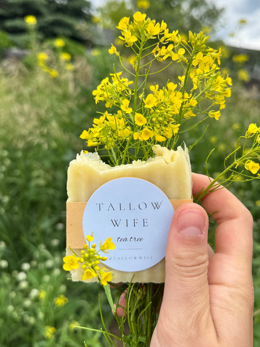 Tallow Shave Soap Bar (Tea Tree)