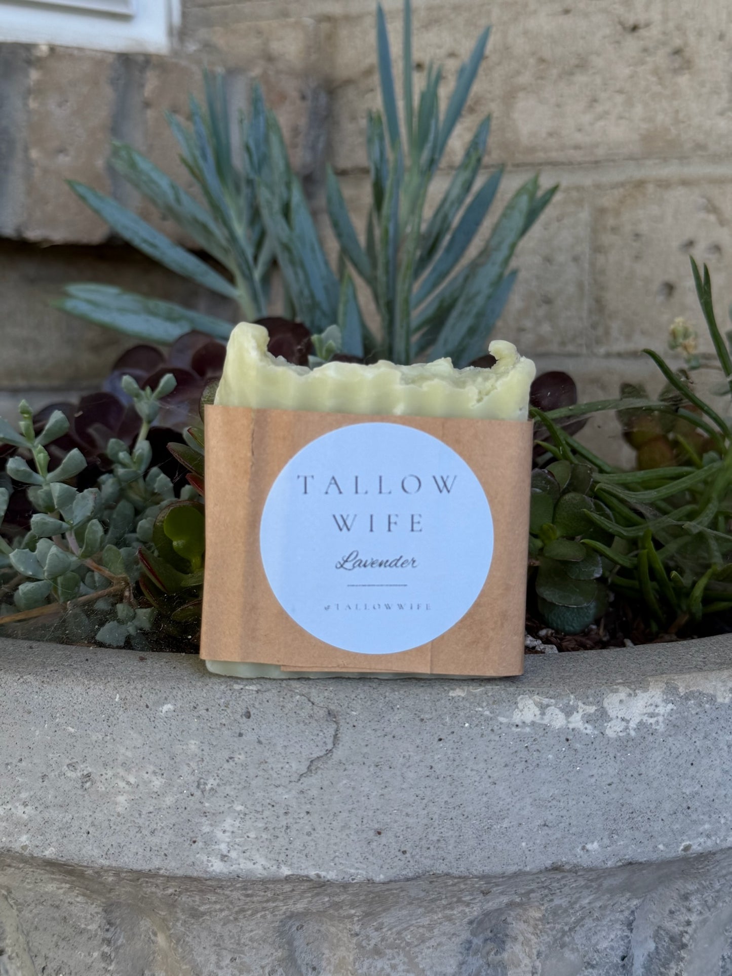 Tallow Shave Soap Bar (Lavender)